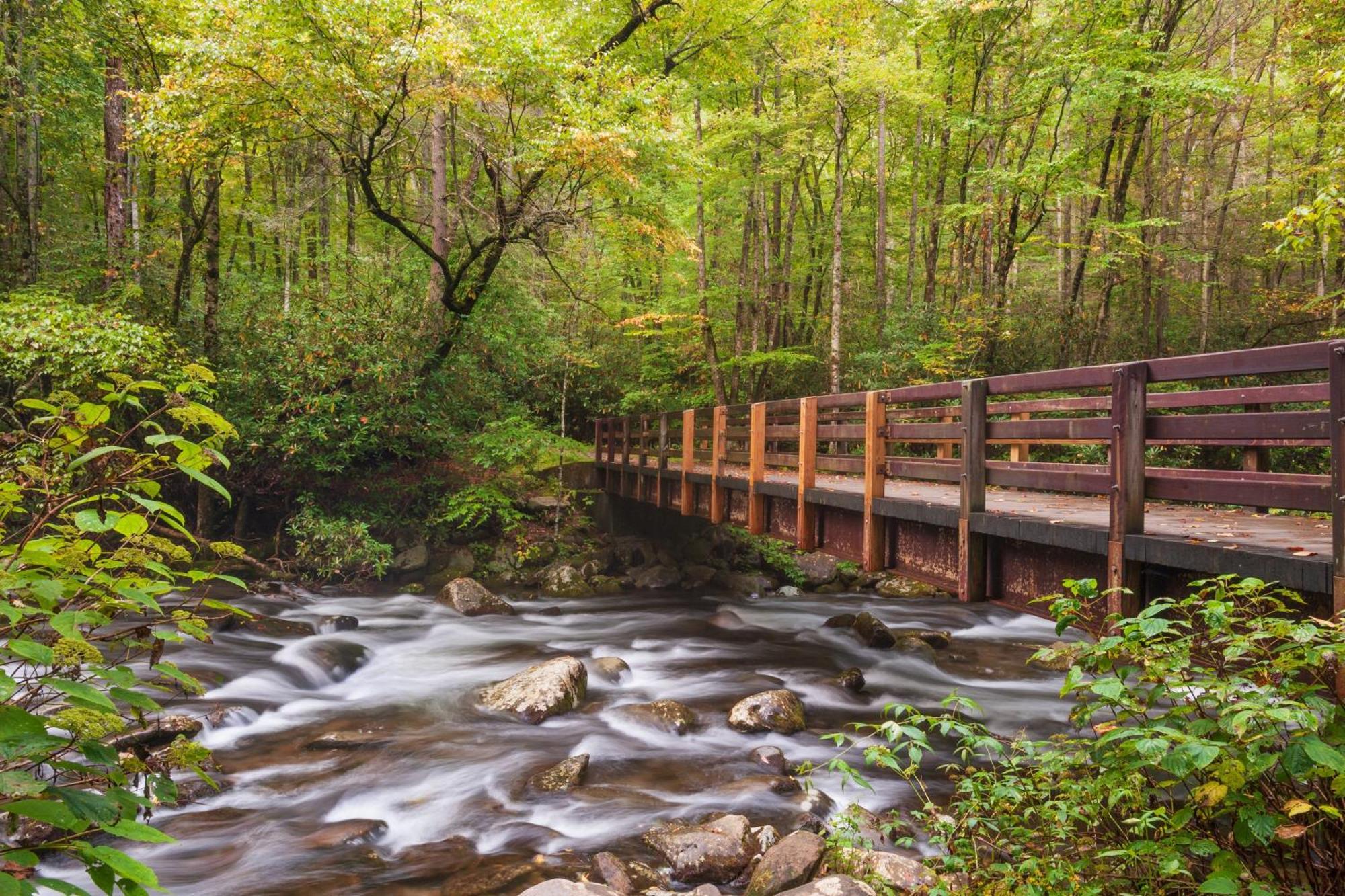 فيلا Smoky Mountain Gem جاتلينبرج المظهر الخارجي الصورة